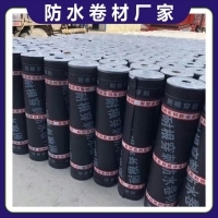 濕鋪防水卷材在車庫底板中的應(yīng)用與市場銷售策略分析